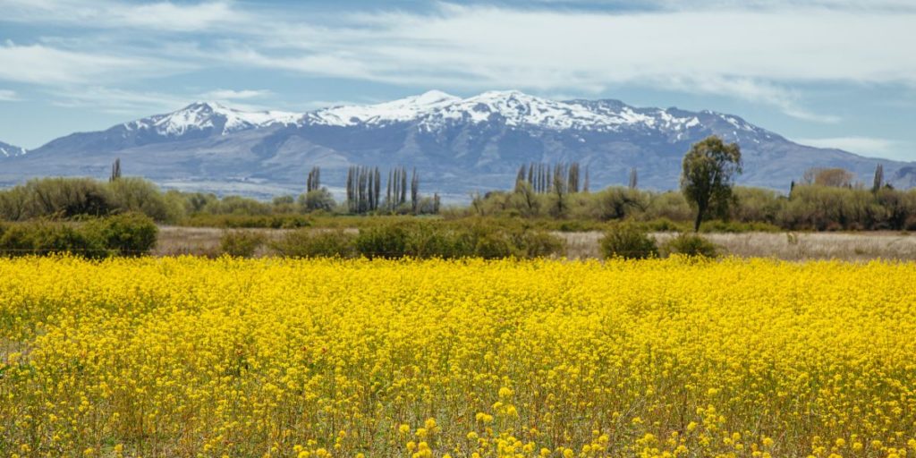 El turismo rural como nueva tendencia viajera