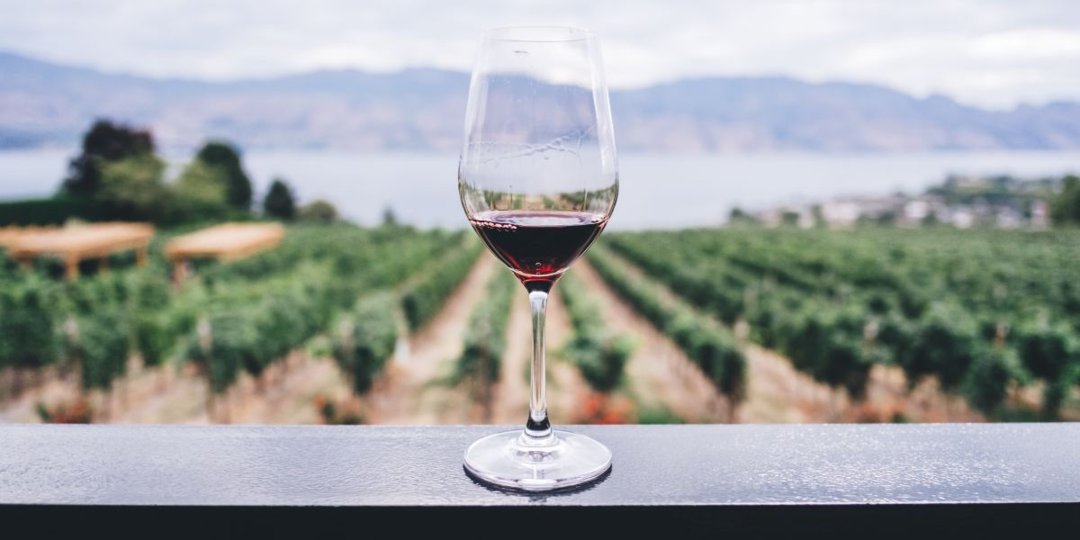 Travel Sale 2025: Paquetes a ⛰️ Mendoza con buena ubicación a partir de AR$ 146.073 🤯 en hasta 15 cuotas sin interés desde Bs. As.