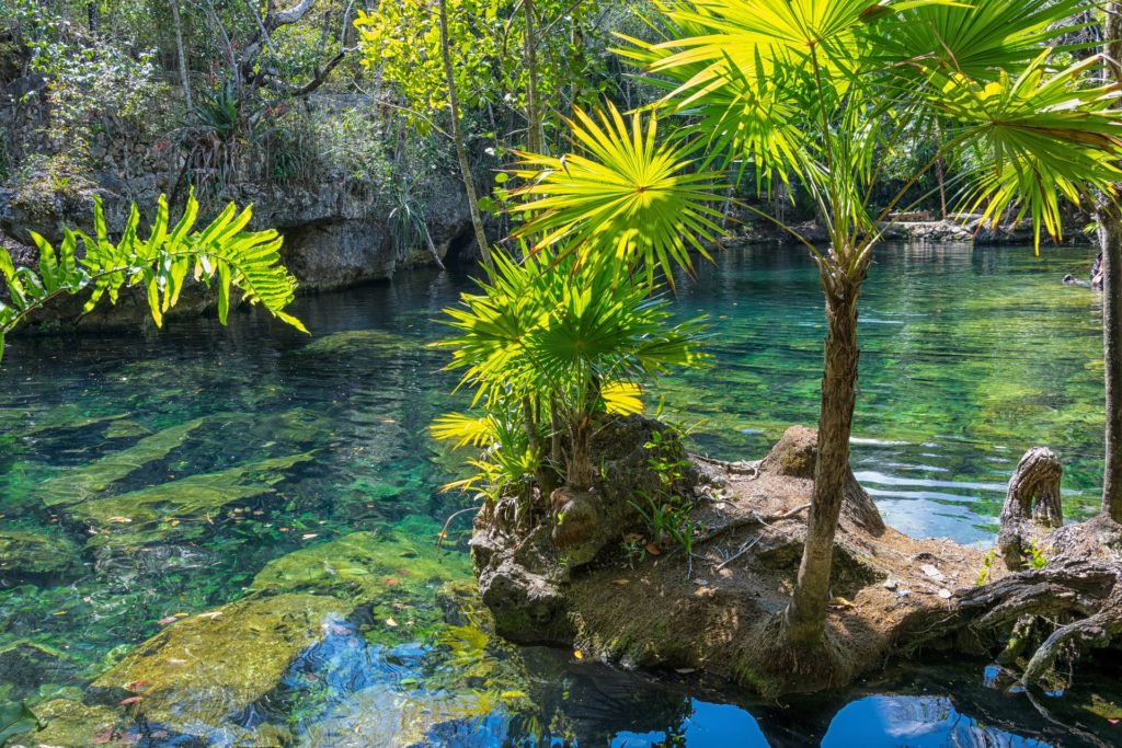 Los  mejores cenotes de Quintana Roo