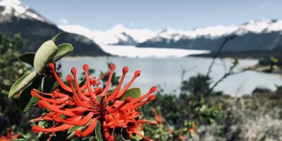 Travel Sale 2025: Hasta 20 % de descuento en vuelos por Argentina ✈️🧉