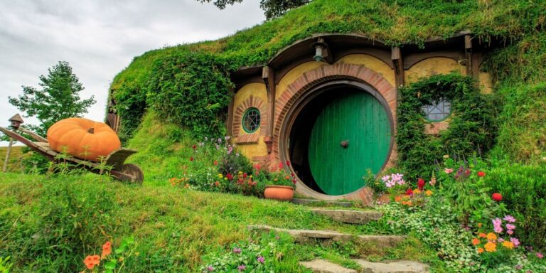 ¡Auckland en Verano 😎 con Carry On! Vuelos a partir de U$D 1.149 desde Aeroparque 🌏