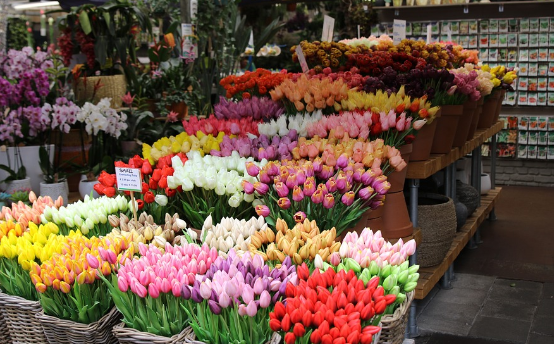 Mercado de las Flores