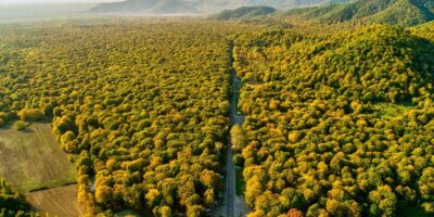 Cupón de descuento para Alquiler de Autos en Iguazú 🚗