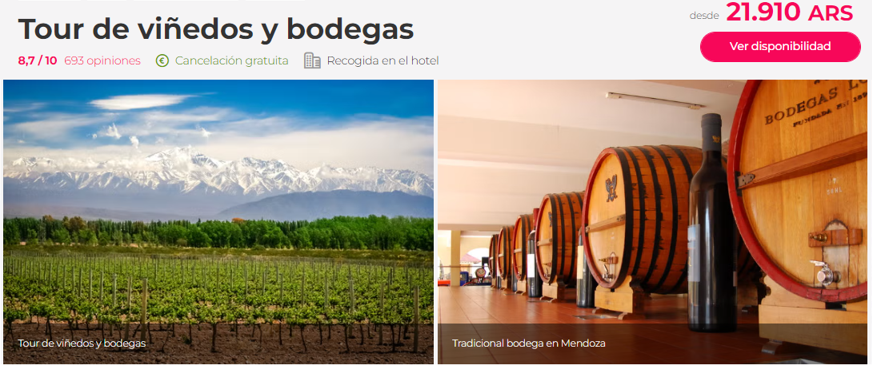 Tour de viñedos y bodegas
en mendoza