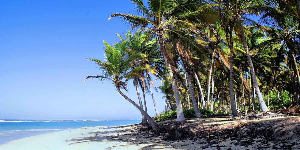 ¡Regalados! 🥳 Paquetes a Punta Cana en Hotel All Inclusive + Vuelos con Carry On a partir de U$D 1.069 desde Buenos Aires 🍹