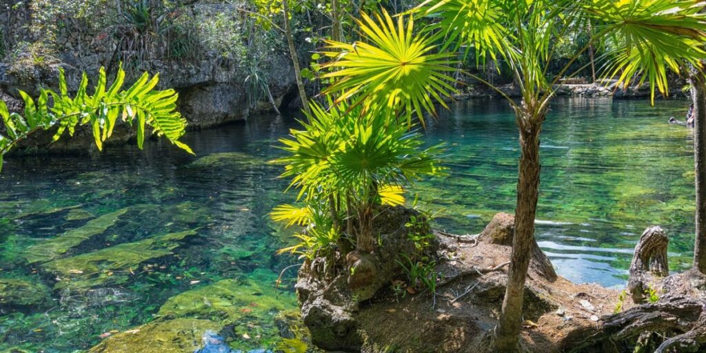 que hacer en tulum