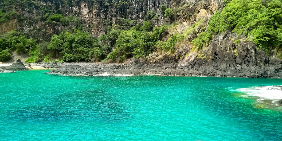 ¡Que Lindo Año Nuevo para emitir AHORA! Vuelos a Fernando de Noronha a partir de U$D 522 💣💣 desde Aeroparque