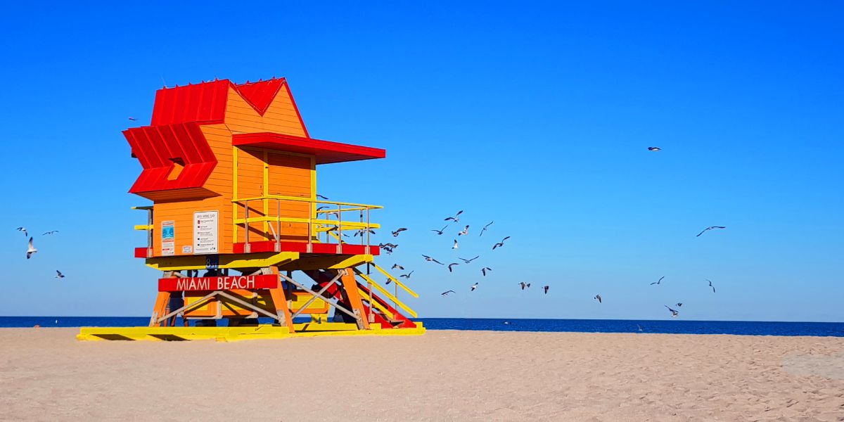 Bajaron las tarifas a Miami 🌴 a partir de U$D 479 😱 desde Bs. As. o directos a partir de U$D 618 ❤️‍🔥