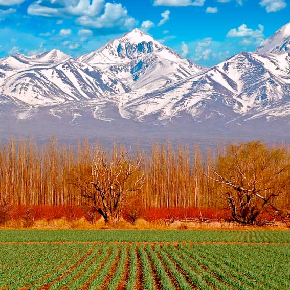 Hoteles en el centro de Mendoza 🛎️ con hasta 12 cuotas sin interés y hasta 15% off en un pago 🍇