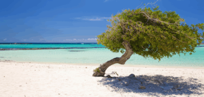 Departamentos en Aruba 🛎️ desde U$D 104 en plenas vacas de verano por noche en base doble 🌊 