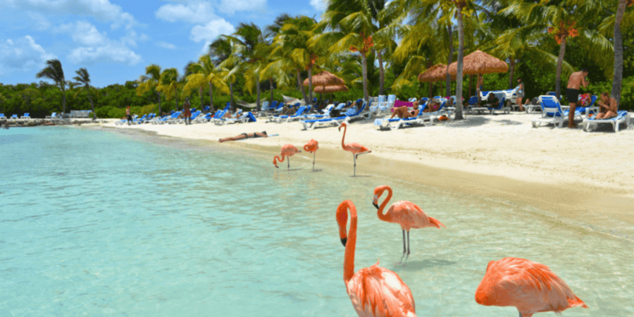 ¡Excelente! 🥳 Vuelos a Aruba 👙 con Carry On a partir de U$D 560 desde Buenos Aires